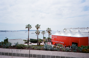 Courtier Immobilier de Luxe Cannes